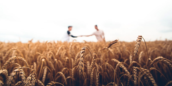 négociant agricole